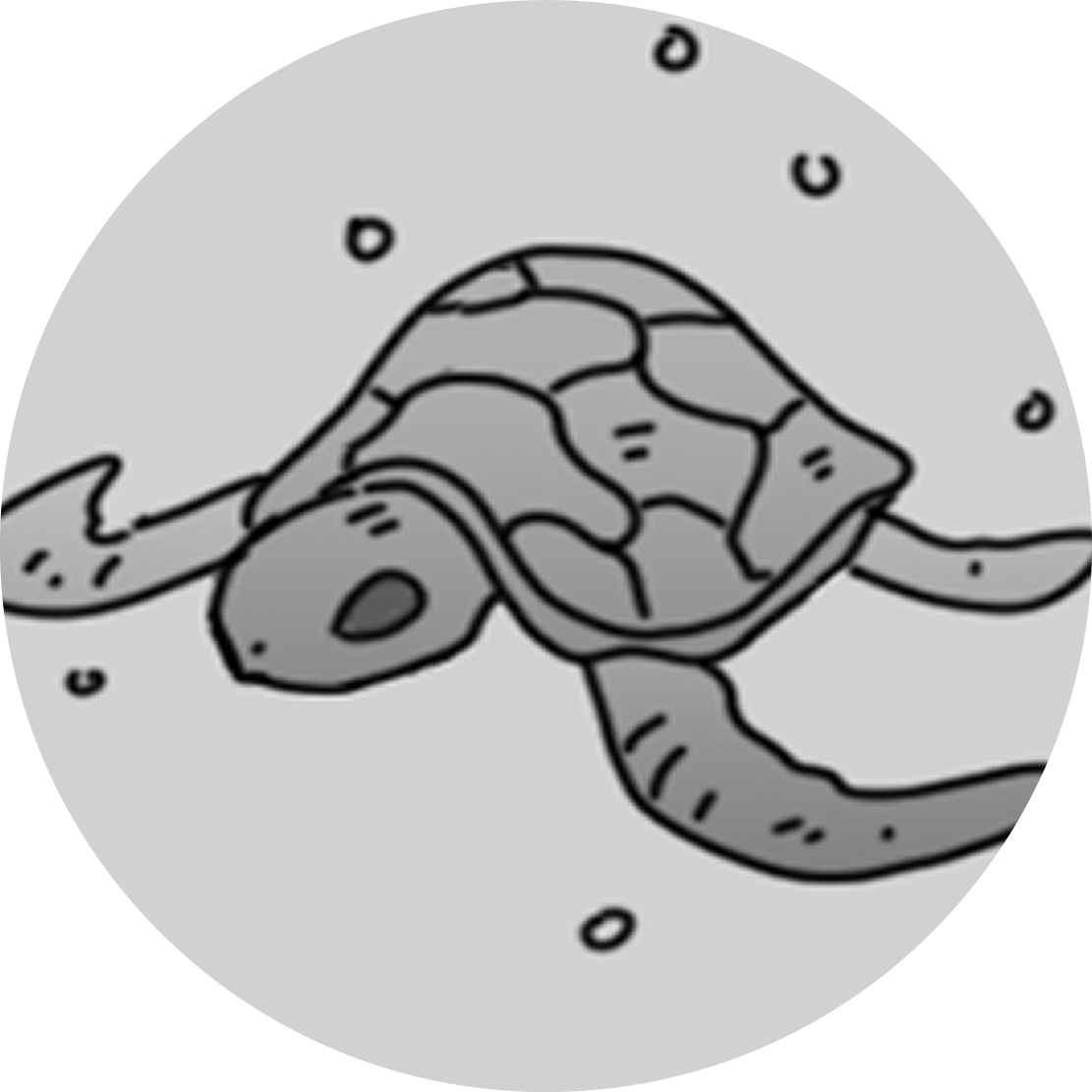 Blue Turtle